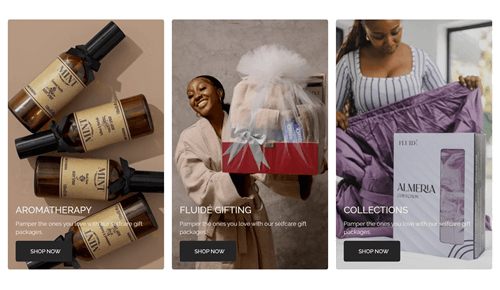 Ecommerce site rebuild woocommerce, wordpress elementor